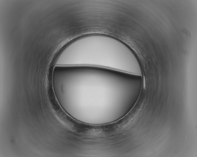 X0000110880252200906180951
