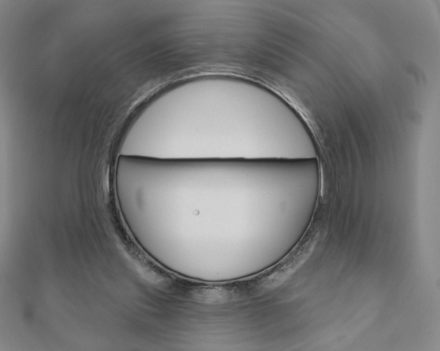 X0000110880253200906180951