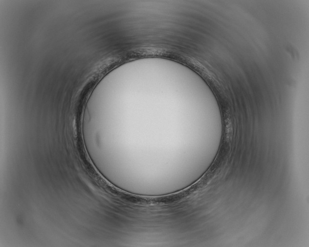 X0000110880254200906180951