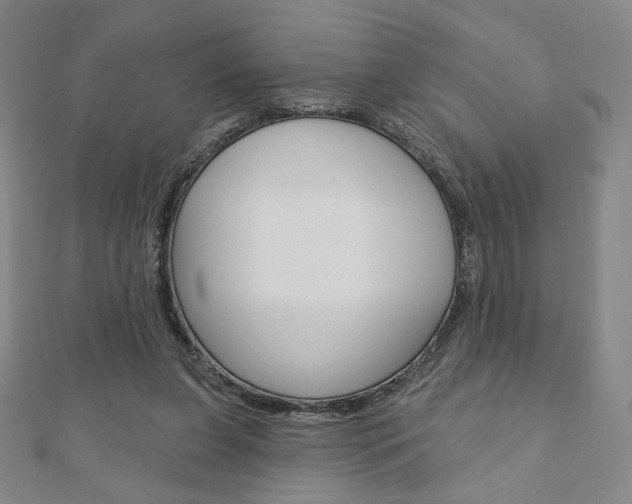 X0000110880255200906180951