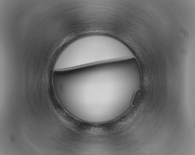 X0000110880256200906180951