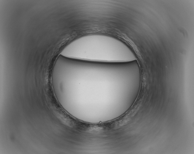 X0000110880257200906180951