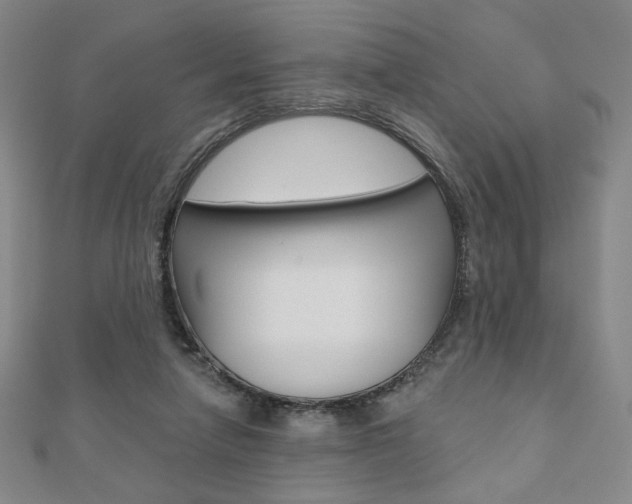 X0000110880258200906180951