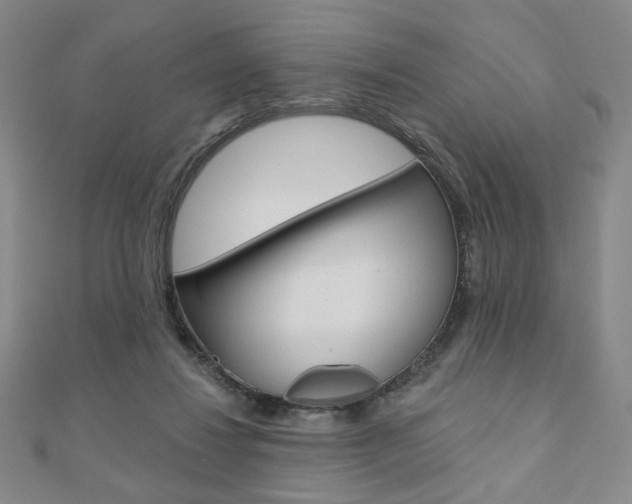 X0000110880260200906180951