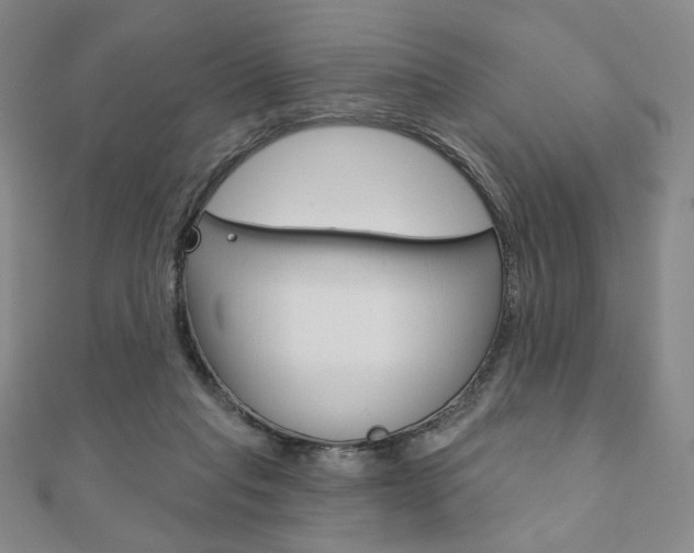 X0000110880261200906180951