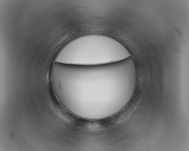 X0000110880262200906180951