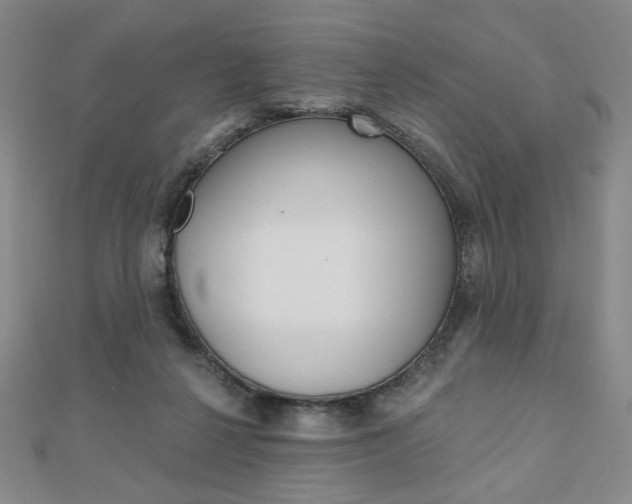 X0000110880264200906180951