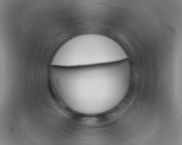 X0000110880266200906180951