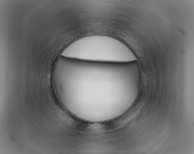 X0000110880269200906180951
