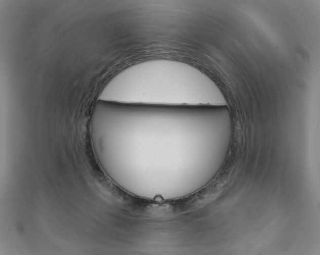 X0000110880271200906180951