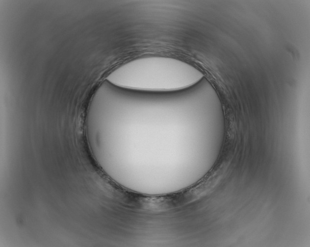X0000110880273200906180951