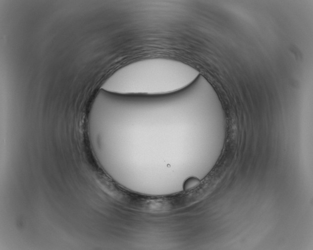 X0000110880275200906180951