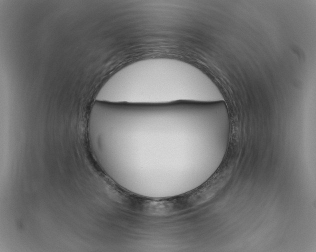 X0000110880277200906180951