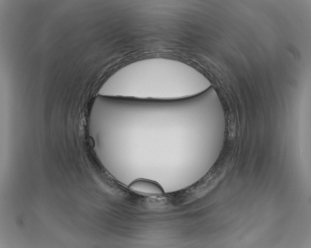 X0000110880279200906180951