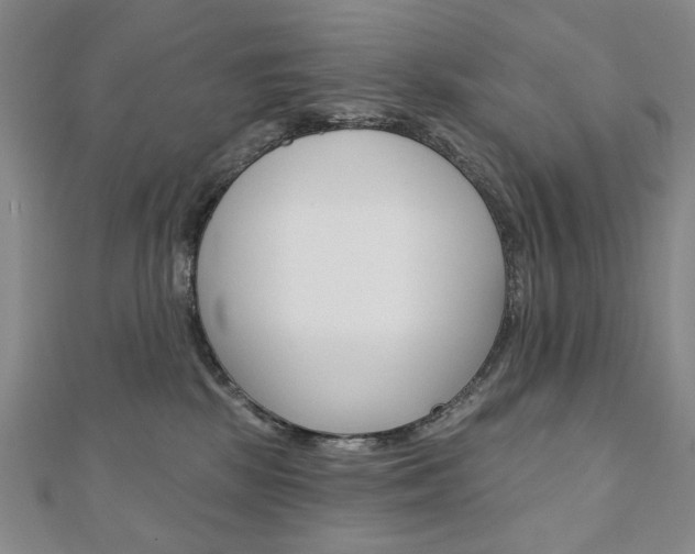 X0000110880281200906180951