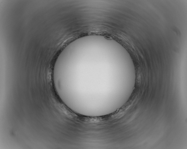 X0000110880282200906180951