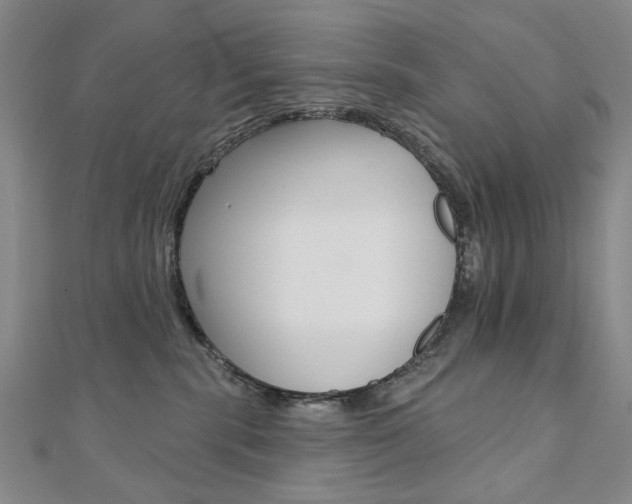 X0000110880283200906180951