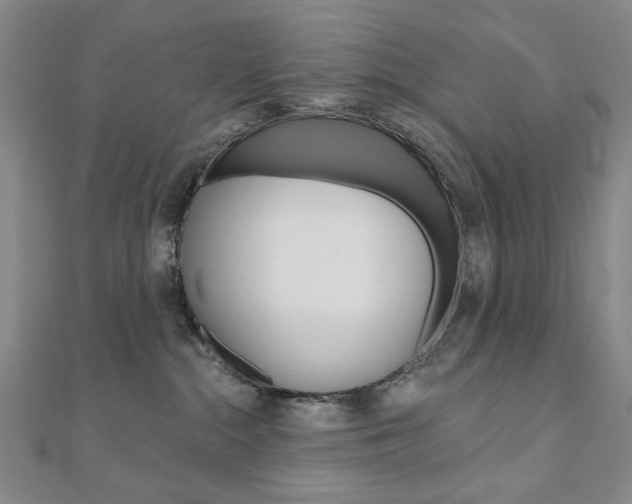 X0000110880284200906180951