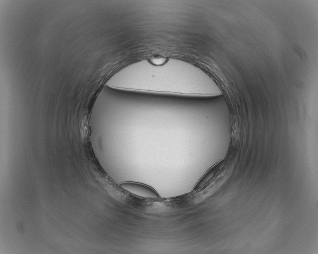 X0000110880285200906180951