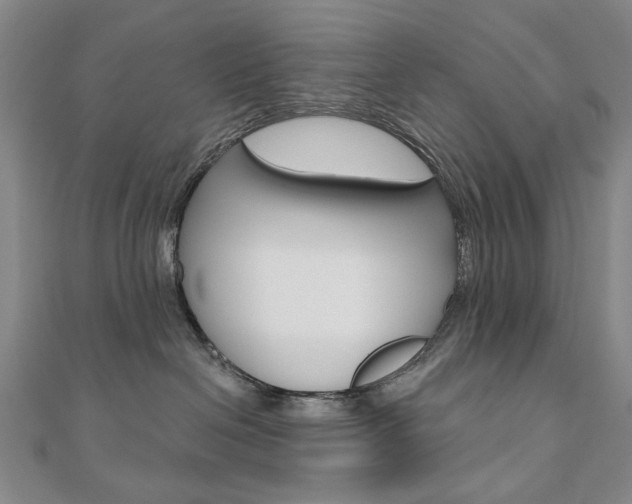 X0000110880286200906180951