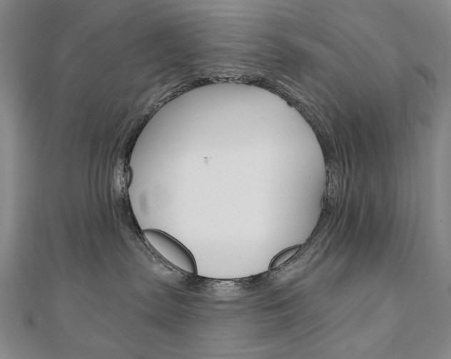 X0000110880287200906180951