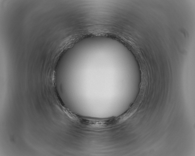X0000110880288200906180951