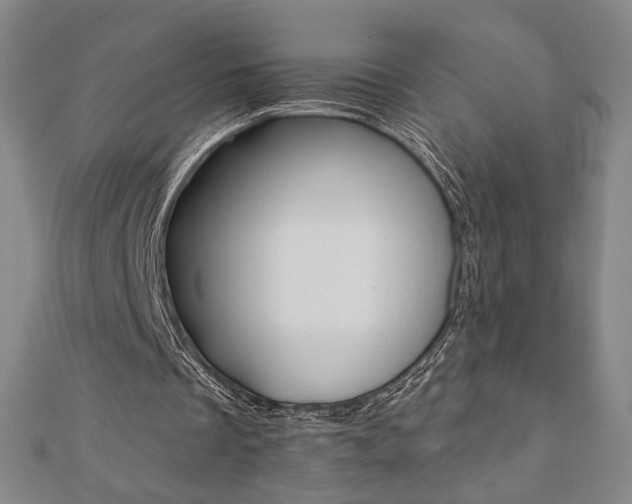 X0000110880289200906180951