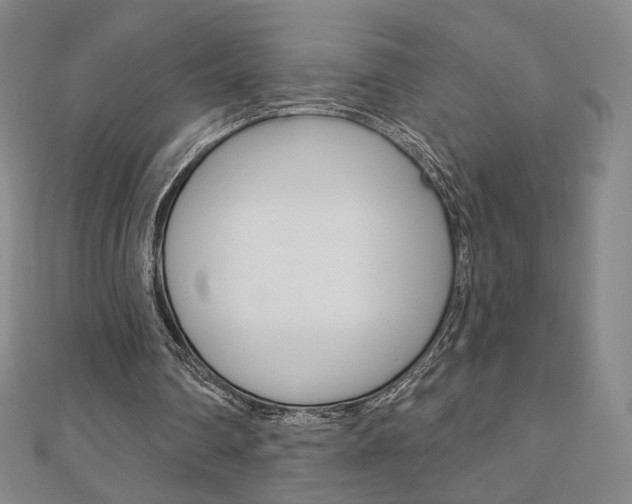 X0000110880290200906180951