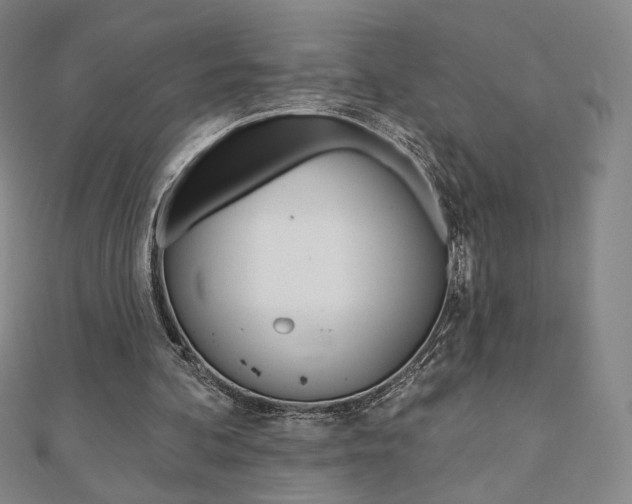 X0000110880292200906180951