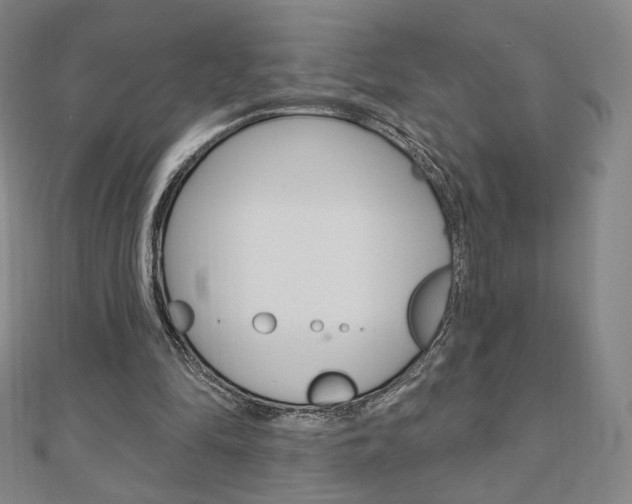 X0000110880294200906180950