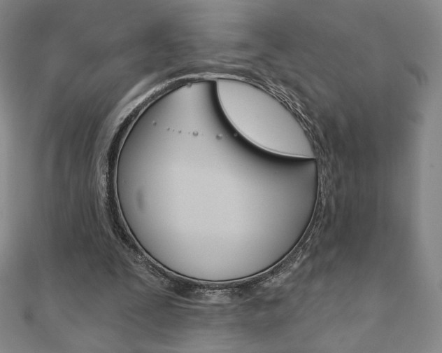 X0000110880295200906180950