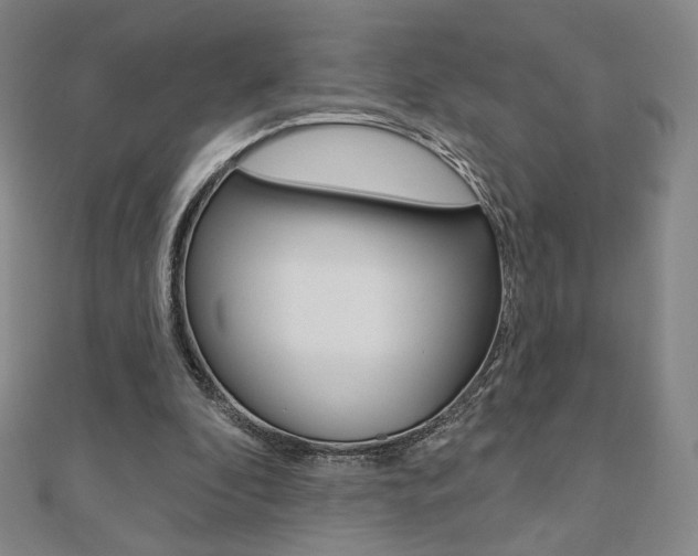 X0000110880296200906180950