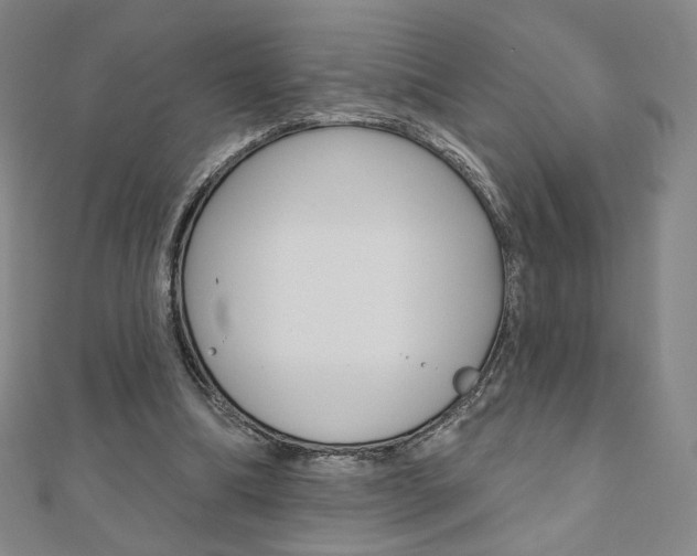X0000110880298200906180950