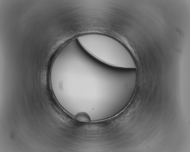 X0000110880299200906180950
