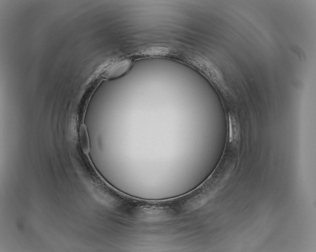 X0000110880300200906180950