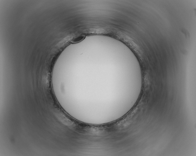X0000110880305200906180950