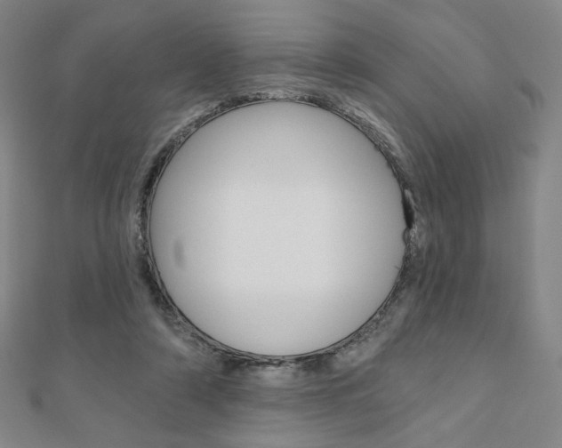 X0000110880306200906180950