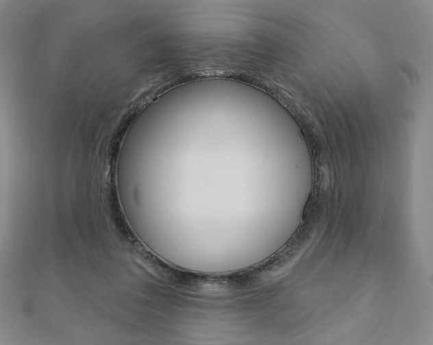 X0000110880308200906180950
