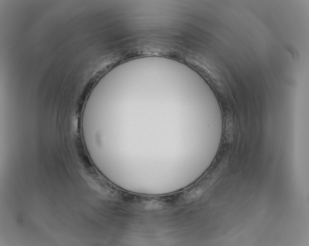 X0000110880310200906180950