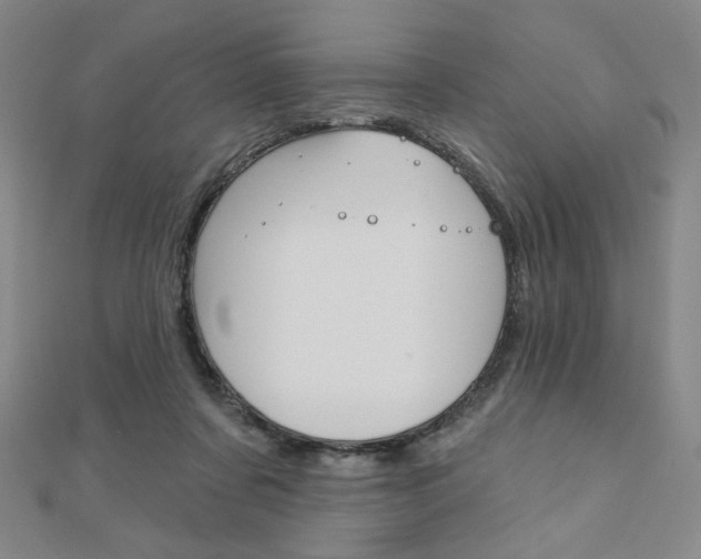 X0000110880311200906180950