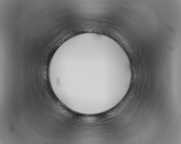 X0000110880313200906180950