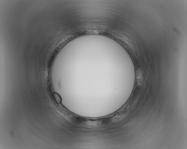 X0000110880314200906180950