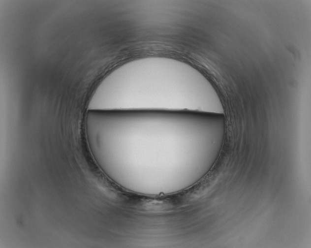 X0000110880315200906180950