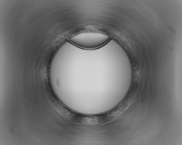 X0000110880317200906180950