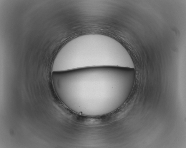 X0000110880319200906180950