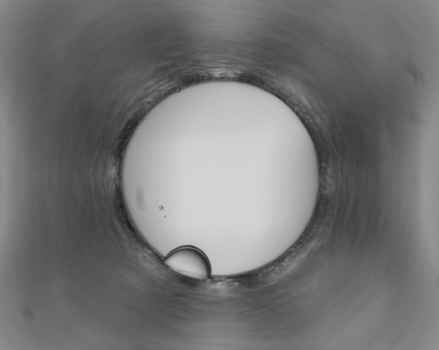 X0000110880321200906180950