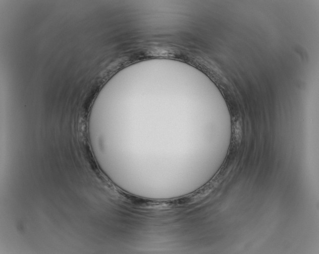 X0000110880322200906180950