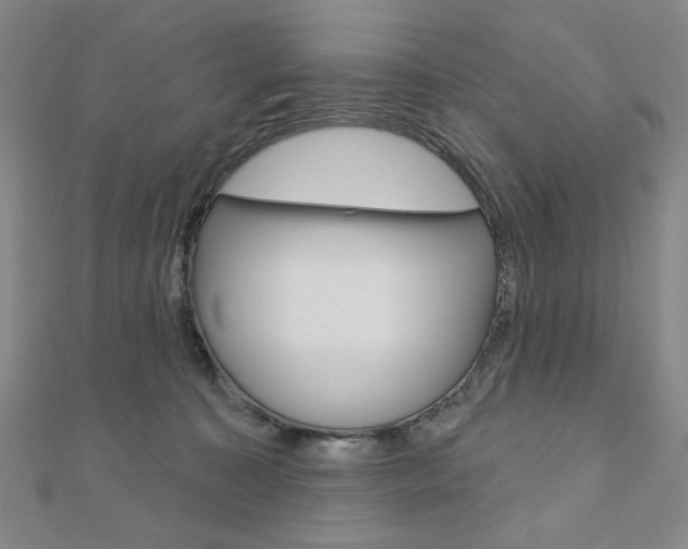 X0000110880323200906180950