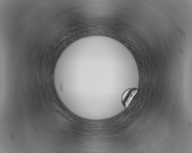 X0000110880324200906180950