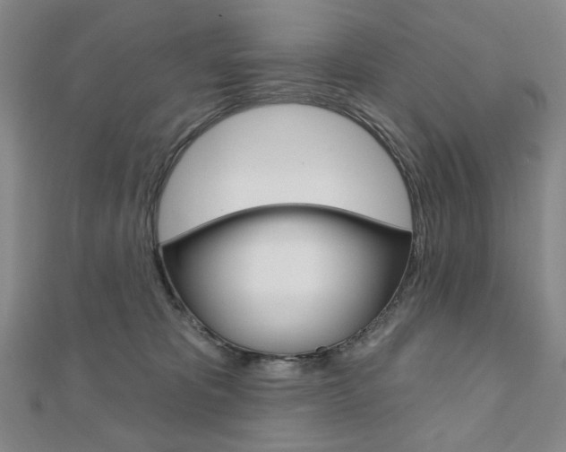 X0000110880325200906180950